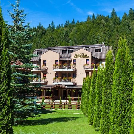 Pension Pantheon Poiana Brasov Luaran gambar